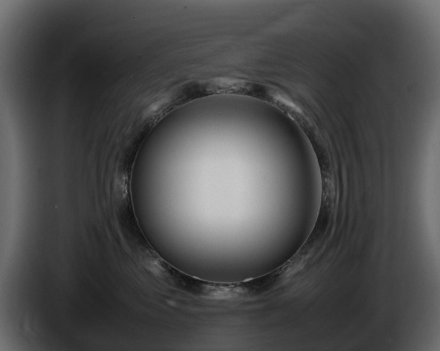 X0000085790621200703231309