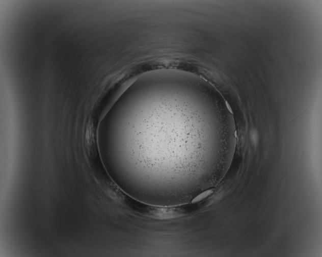 X0000085790623200703231309