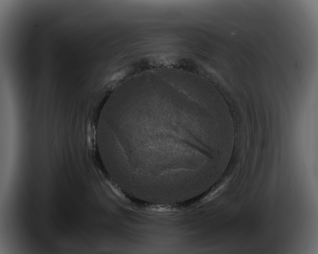 X0000085790624200703231309