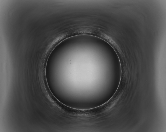 X0000085790625200703231308
