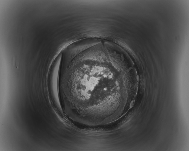 X0000085790626200703231308