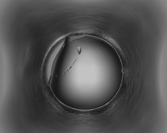X0000085790628200703231308