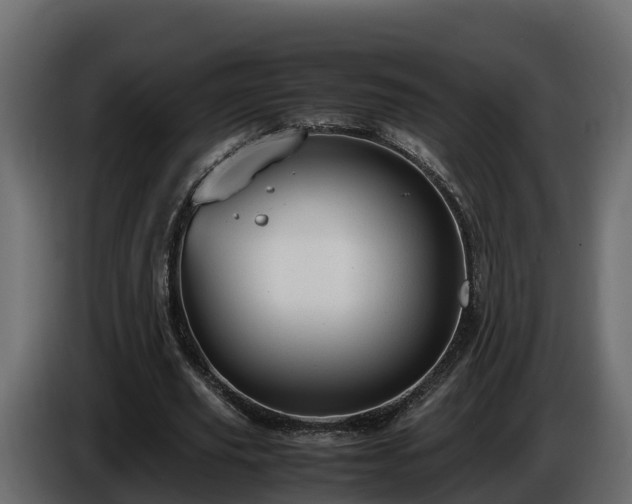 X0000085790629200703231308