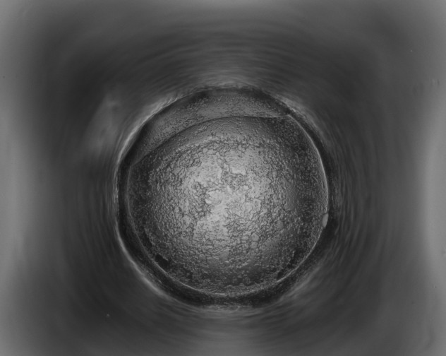 X0000085790630200703231308