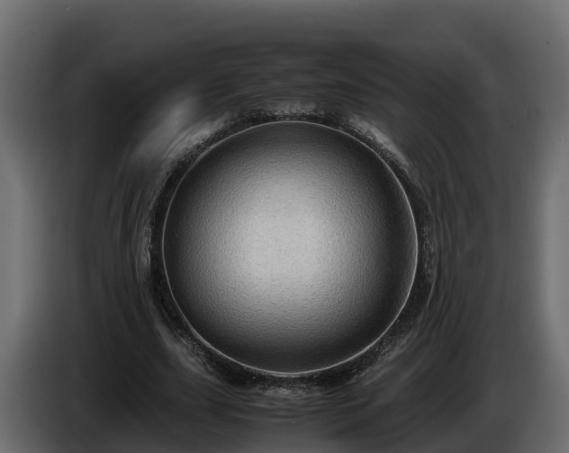 X0000085790631200703231308