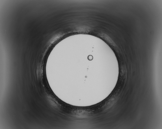 X0000085790632200703231308