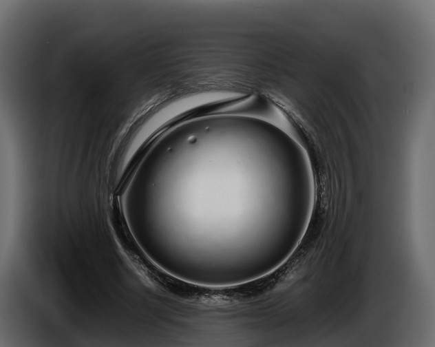X0000085790634200703231308