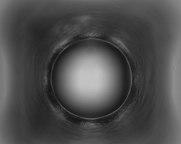 X0000085790635200703231308