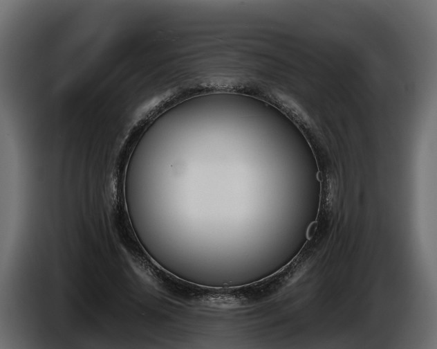 X0000085790636200703231308
