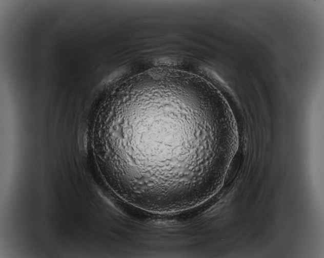 X0000085790637200703231309