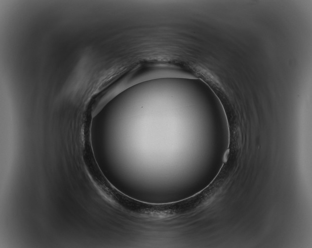 X0000085790638200703231309