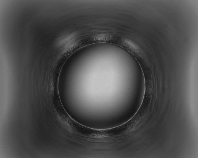 X0000085790639200703231309