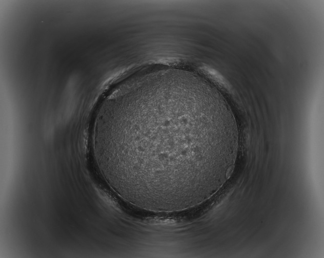 X0000085790640200703231309