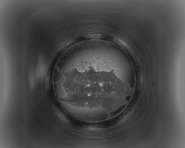 X0000085790641200703231309