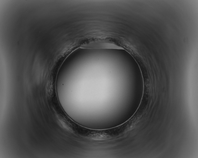 X0000085790642200703231309