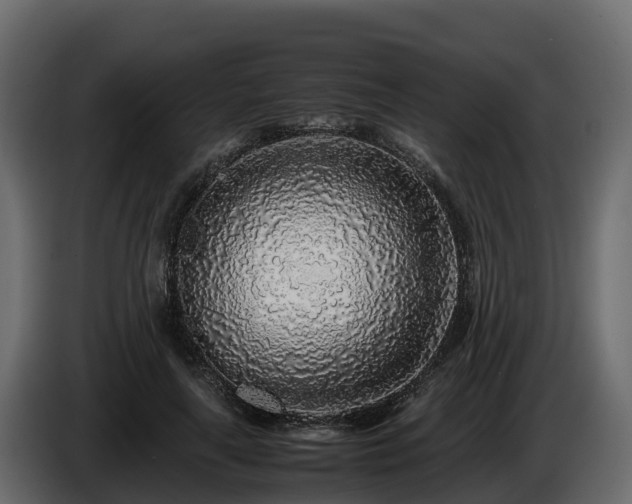 X0000085790643200703231309
