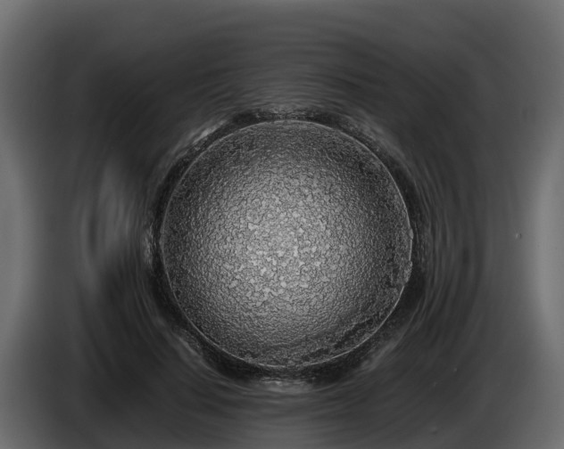 X0000085790644200703231309