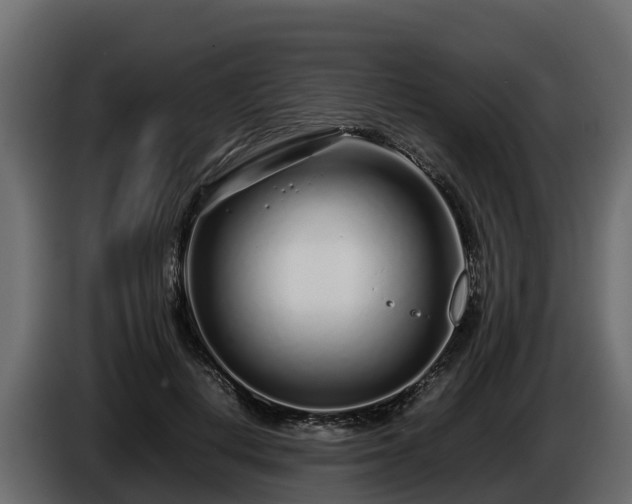 X0000085790648200703231309
