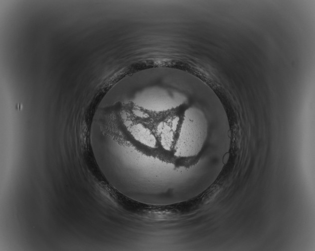 X0000085790650200703231309