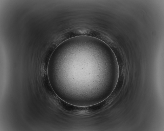 X0000085790651200703231309