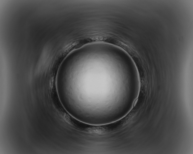 X0000085790652200703231309