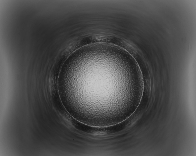 X0000085790653200703231309