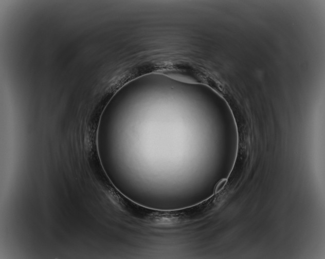 X0000085790658200703231309