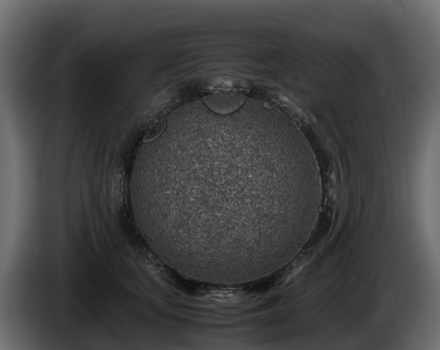X0000085790659200703231309