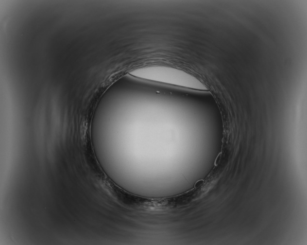 X0000085790660200703231309
