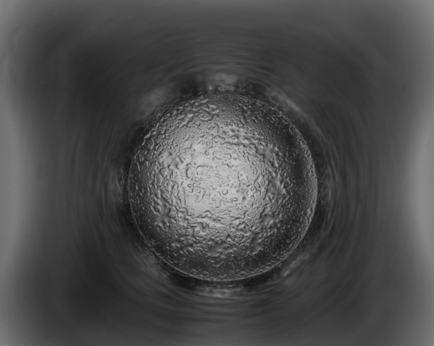 X0000085790661200703231309