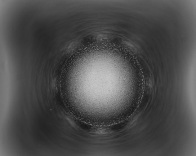 X0000085790663200703231309