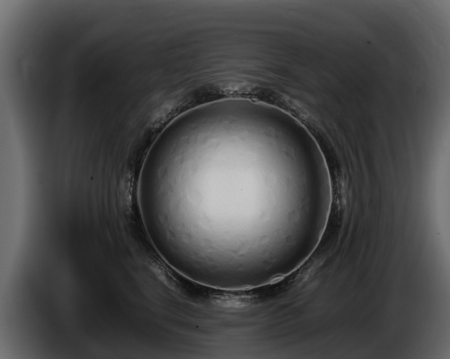 X0000085790664200703231309