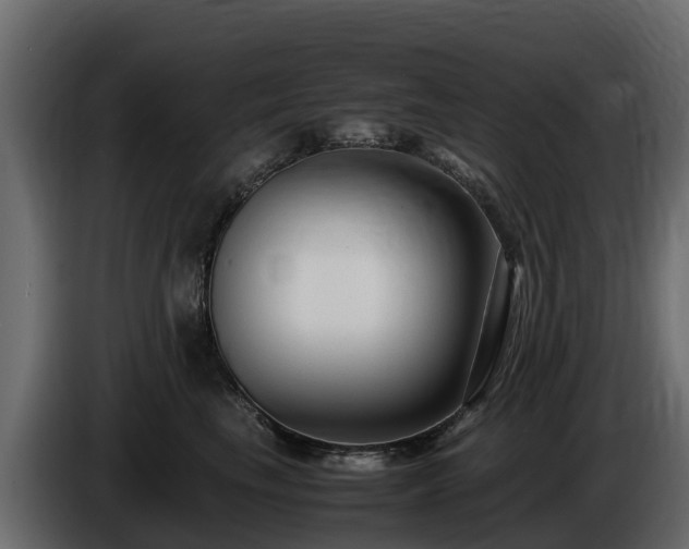 X0000085790665200703231309