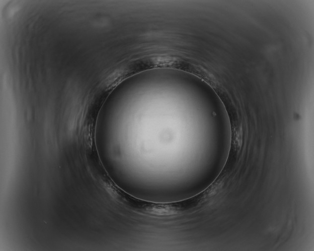 X0000085790666200703231309