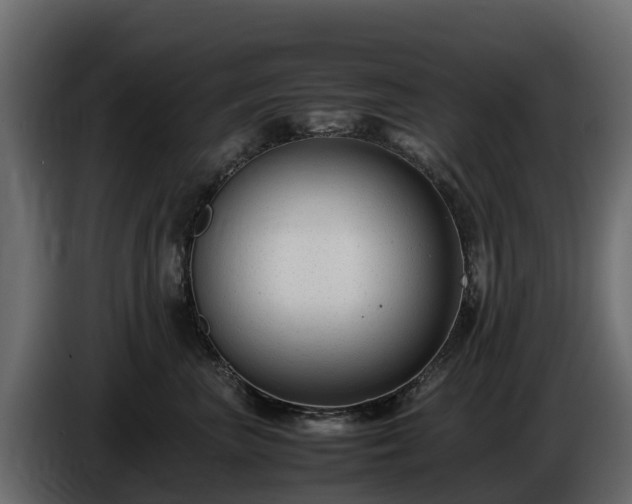 X0000085790667200703231309