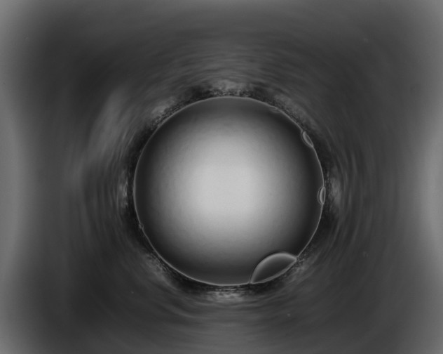 X0000085790668200703231309