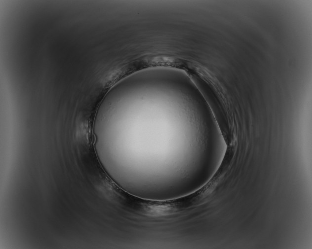 X0000085790669200703231309