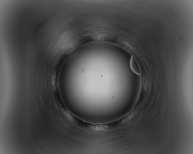 X0000085790670200703231309