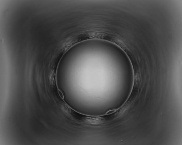 X0000085790671200703231309