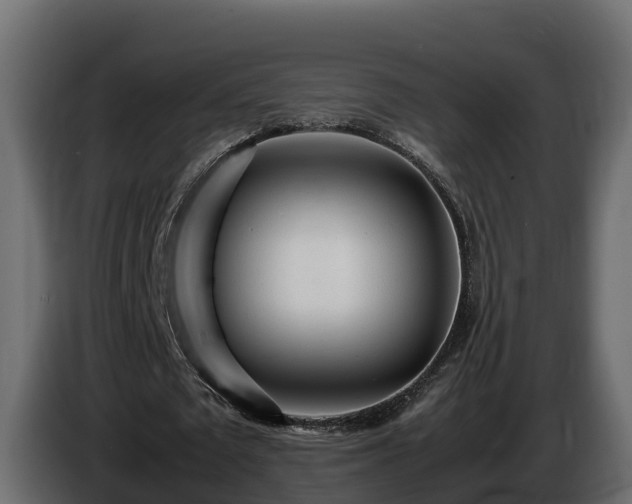 X0000085790673200703231308
