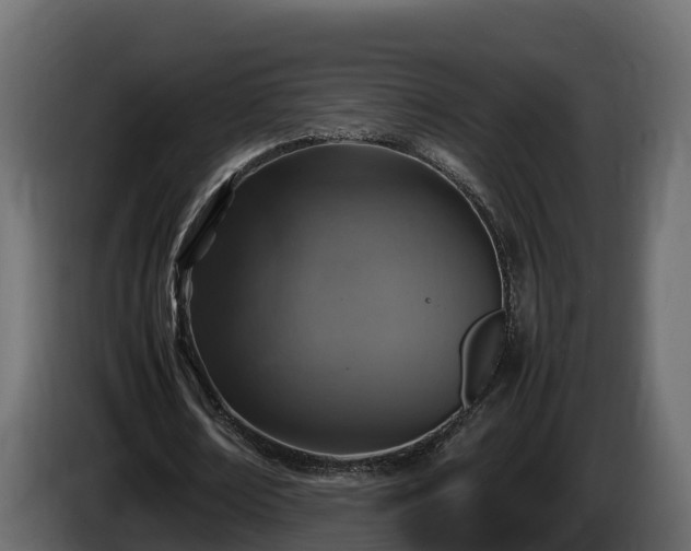 X0000085790674200703231308
