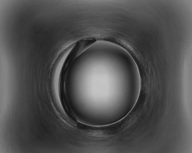 X0000085790677200703231308
