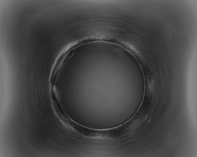X0000085790678200703231308