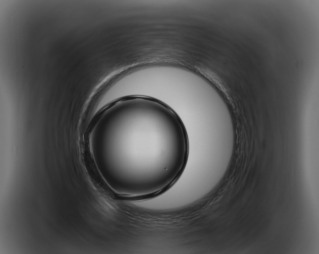 X0000085790680200703231308