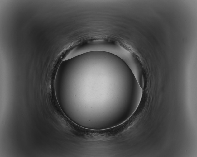 X0000085790681200703231308