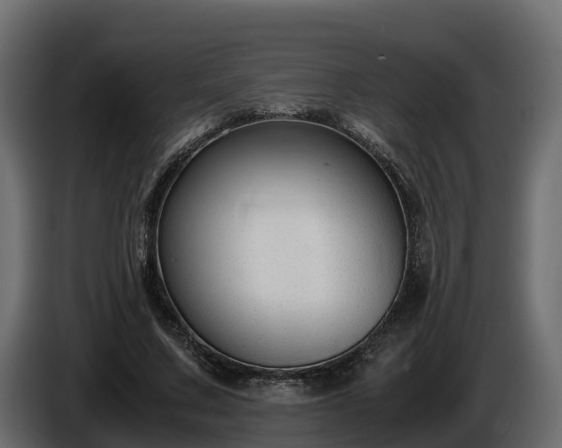 X0000085790683200703231308