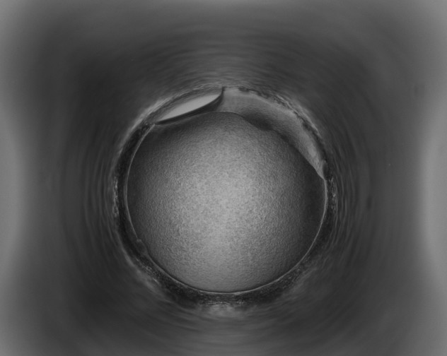 X0000085790684200703231308
