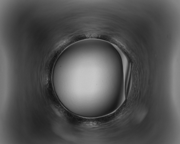 X0000085790687200703231308