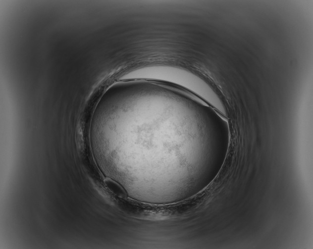 X0000085790688200703231308
