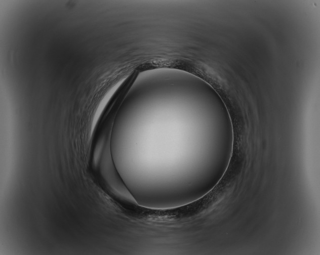 X0000085790689200703231308